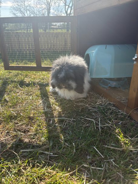 Fluffy